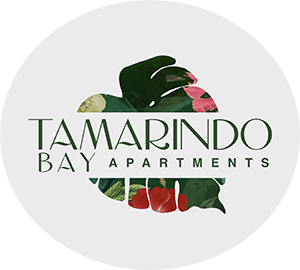 Tamarindo Apartment Rentals